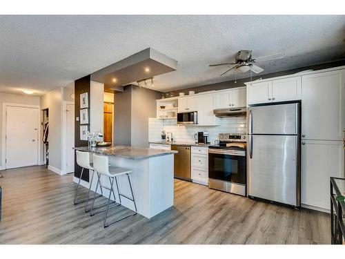 302-1027 Cameron Avenue Sw, Calgary, AB - Indoor Photo Showing Kitchen With Stainless Steel Kitchen