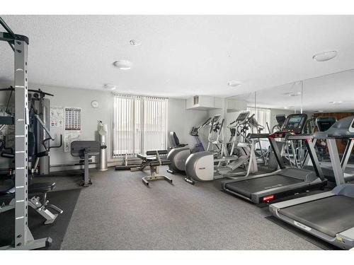 304-30 Mchugh Court Ne, Calgary, AB - Indoor Photo Showing Gym Room