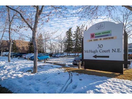 304-30 Mchugh Court Ne, Calgary, AB - Outdoor With View