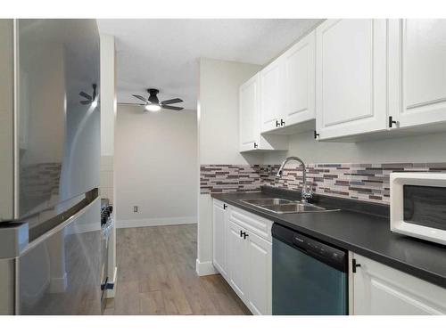 304-30 Mchugh Court Ne, Calgary, AB - Indoor Photo Showing Kitchen With Double Sink