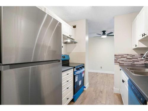 304-30 Mchugh Court Ne, Calgary, AB - Indoor Photo Showing Kitchen