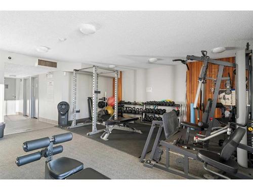 304-30 Mchugh Court Ne, Calgary, AB - Indoor Photo Showing Gym Room