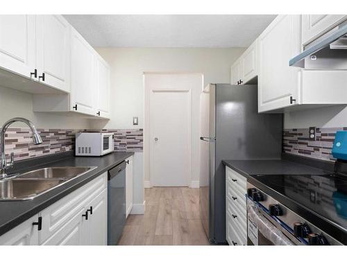 304-30 Mchugh Court Ne, Calgary, AB - Indoor Photo Showing Kitchen With Double Sink