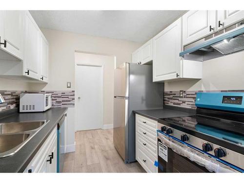 304-30 Mchugh Court Ne, Calgary, AB - Indoor Photo Showing Kitchen With Double Sink