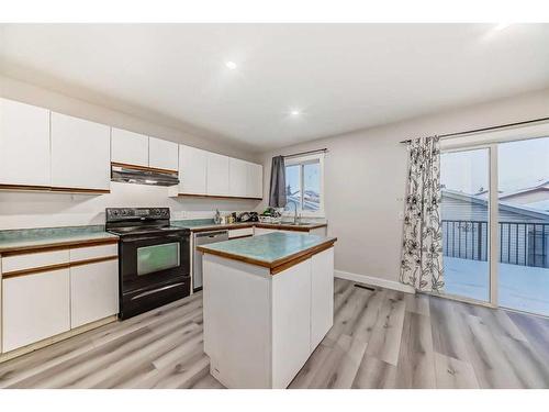 68 Martinbrook Link Ne, Calgary, AB - Indoor Photo Showing Kitchen With Double Sink