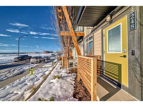 248 Seton Passage Se, Calgary, AB - Outdoor