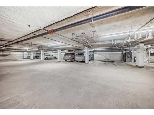 116-30 Discovery Ridge Close Sw, Calgary, AB - Indoor Photo Showing Garage