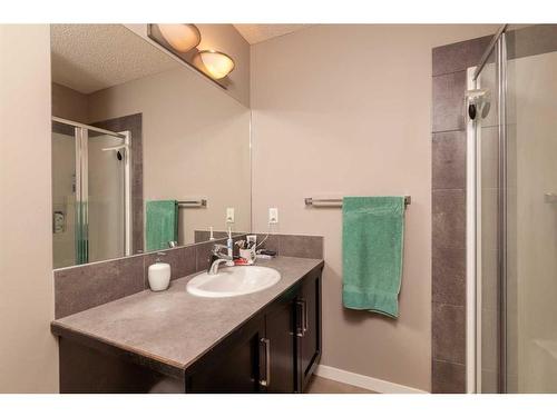 72 New Brighton Point Se, Calgary, AB - Indoor Photo Showing Bathroom