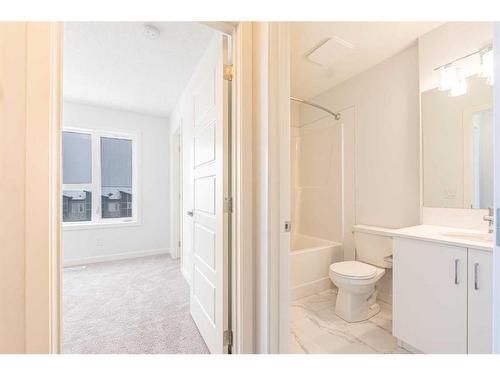 317 Redstone Boulevard Ne, Calgary, AB - Indoor Photo Showing Bathroom