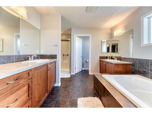 233 Ranch Close, Strathmore, AB - Indoor Photo Showing Bathroom