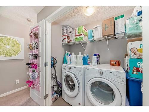 411 Nolanlake Villas Nw, Calgary, AB - Indoor Photo Showing Laundry Room