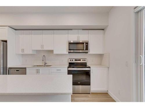 223-8500 19 Avenue Se, Calgary, AB - Indoor Photo Showing Kitchen With Double Sink