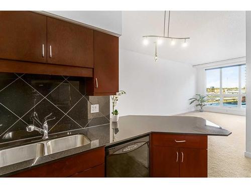 407-8880 Horton Road Sw, Calgary, AB - Indoor Photo Showing Kitchen With Double Sink