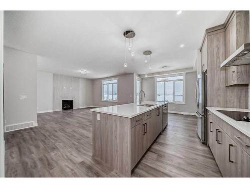 368 Watercrest Place, Chestermere, AB - Indoor Photo Showing Kitchen With Upgraded Kitchen