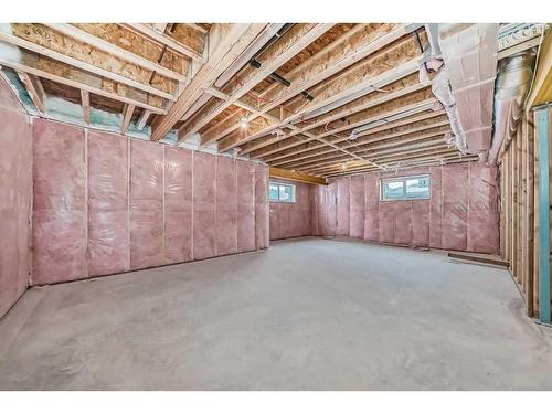 368 Watercrest Place, Chestermere, AB - Indoor Photo Showing Basement