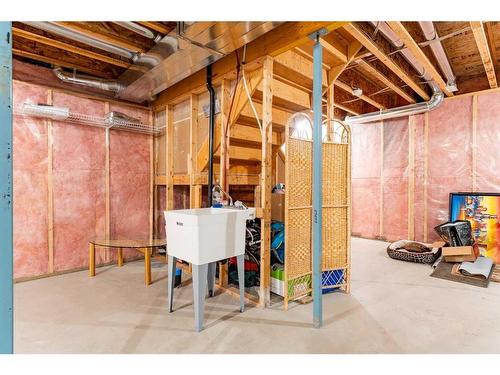 332 Auburn Bay Blvd Se, Calgary, AB - Indoor Photo Showing Basement