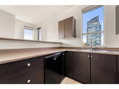 2101-1053 10 Street Sw, Calgary, AB - Indoor Photo Showing Kitchen With Double Sink