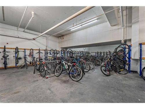 2101-1053 10 Street Sw, Calgary, AB - Indoor Photo Showing Garage