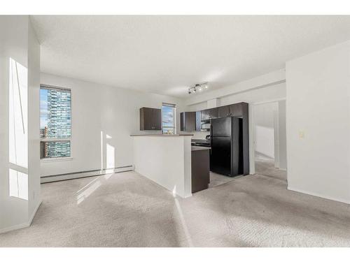 2101-1053 10 Street Sw, Calgary, AB - Indoor Photo Showing Kitchen