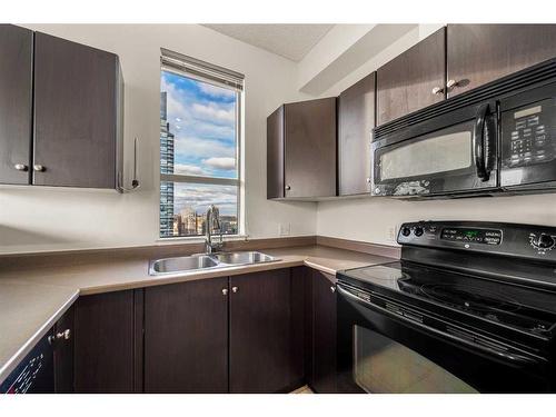 2101-1053 10 Street Sw, Calgary, AB - Indoor Photo Showing Kitchen With Double Sink