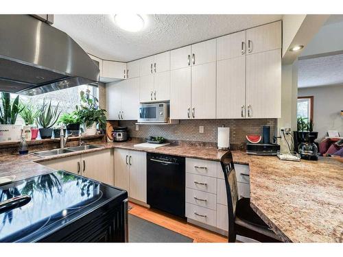 5215 8 Avenue Sw, Calgary, AB - Indoor Photo Showing Kitchen With Double Sink