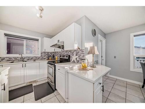 345 Taradale Drive Ne, Calgary, AB - Indoor Photo Showing Kitchen With Double Sink