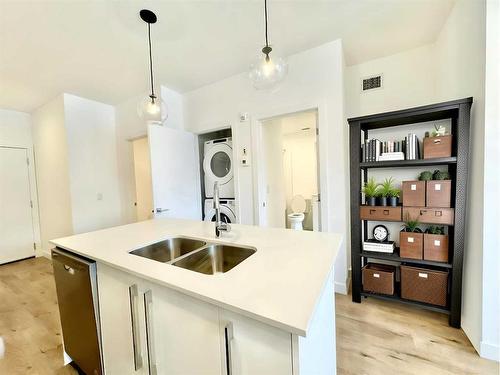 2101-111 Wolf Creek Drive Se, Calgary, AB - Indoor Photo Showing Kitchen With Double Sink