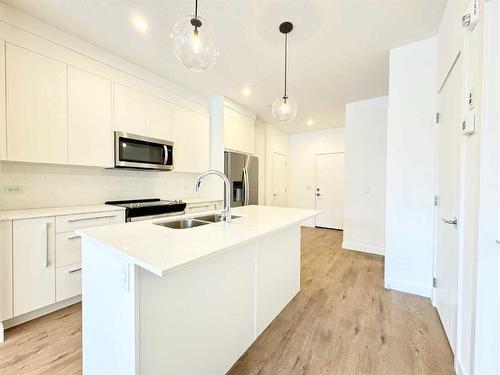 2101-111 Wolf Creek Drive Se, Calgary, AB - Indoor Photo Showing Kitchen With Double Sink With Upgraded Kitchen