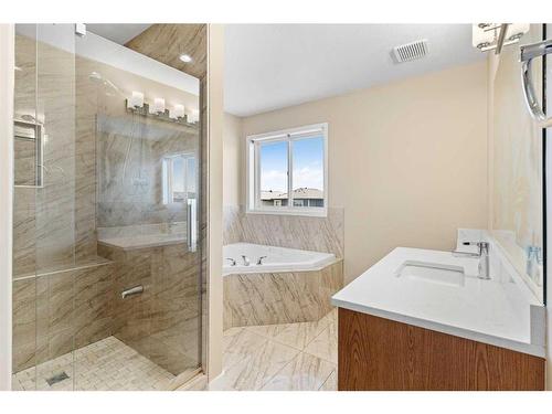 22 Saddleland Crescent Ne, Calgary, AB - Indoor Photo Showing Bathroom