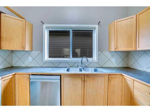 238 Martinvalley Crescent Ne, Calgary, AB - Indoor Photo Showing Kitchen With Double Sink