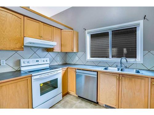 238 Martinvalley Crescent Ne, Calgary, AB - Indoor Photo Showing Kitchen With Double Sink