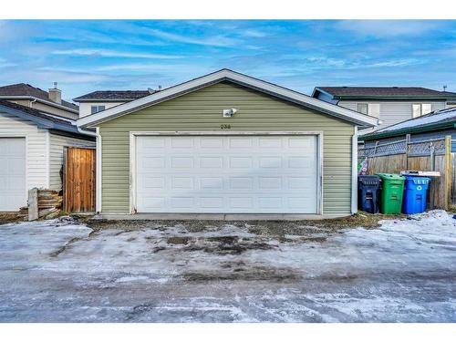 238 Martinvalley Crescent Ne, Calgary, AB - Outdoor