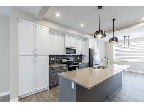 460 Sora Boulevard Se, Calgary, AB - Indoor Photo Showing Kitchen With Double Sink With Upgraded Kitchen