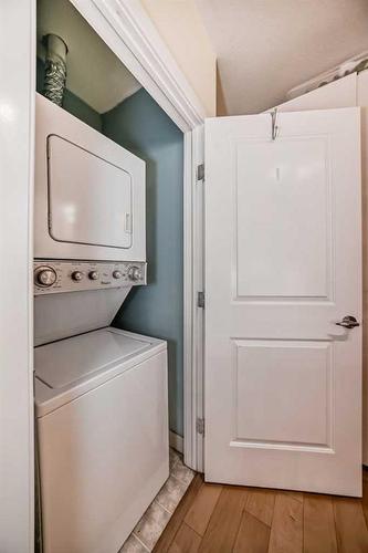 305-328 21 Avenue Sw, Calgary, AB - Indoor Photo Showing Laundry Room