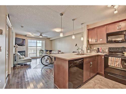 2316-175 Panatella Hill Nw, Calgary, AB - Indoor Photo Showing Kitchen With Double Sink