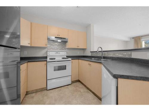 1204-16320 24 Street Sw, Calgary, AB - Indoor Photo Showing Kitchen With Double Sink