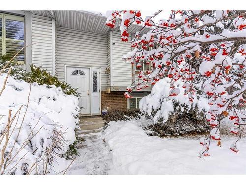 344 Templeton Circle Ne, Calgary, AB - Outdoor