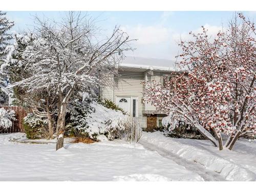 344 Templeton Circle Ne, Calgary, AB - Outdoor