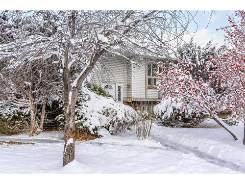 344 Templeton Circle Ne, Calgary, AB - Outdoor