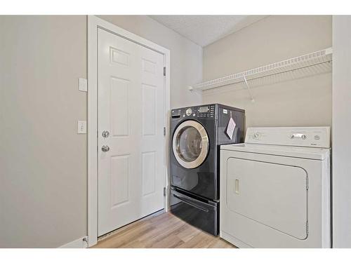 46 Chapman Close Se, Calgary, AB - Indoor Photo Showing Laundry Room