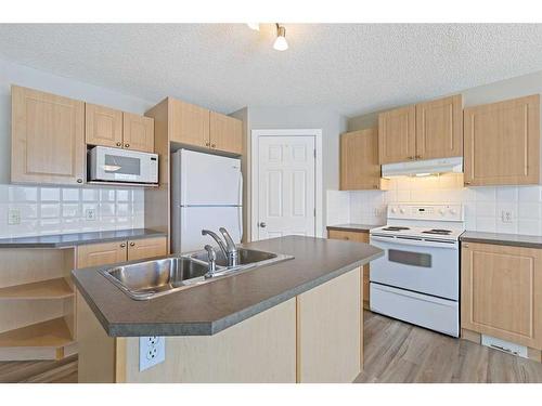 46 Chapman Close Se, Calgary, AB - Indoor Photo Showing Kitchen With Double Sink