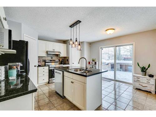 559 Douglas Glen Boulevard Se, Calgary, AB - Indoor Photo Showing Kitchen With Double Sink