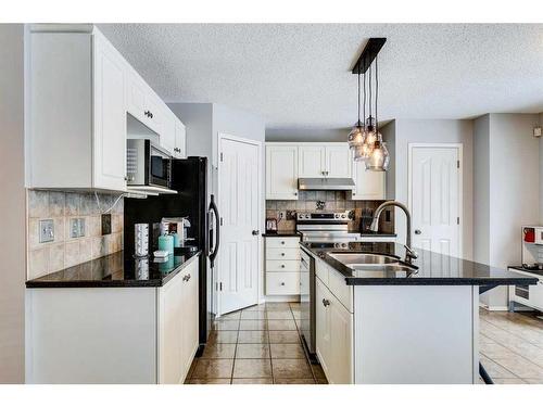 559 Douglas Glen Boulevard Se, Calgary, AB - Indoor Photo Showing Kitchen With Double Sink With Upgraded Kitchen