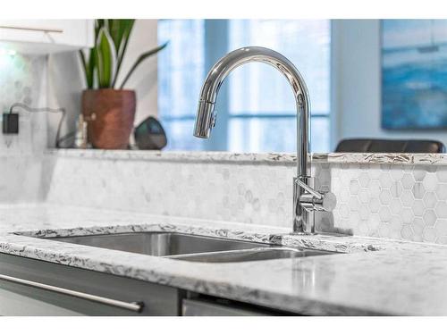 202-60 Royal Oak Plaza Nw, Calgary, AB - Indoor Photo Showing Kitchen With Double Sink