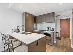 309-1025 5 Avenue SW Calgary, AB T2P 1N4