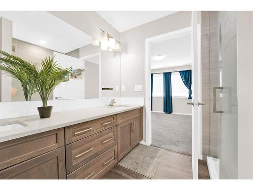 113 Cityline Square Ne, Calgary, AB - Indoor Photo Showing Bathroom