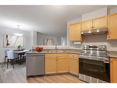 348 Mckenzie Towne Link Se, Calgary, AB - Indoor Photo Showing Kitchen With Double Sink