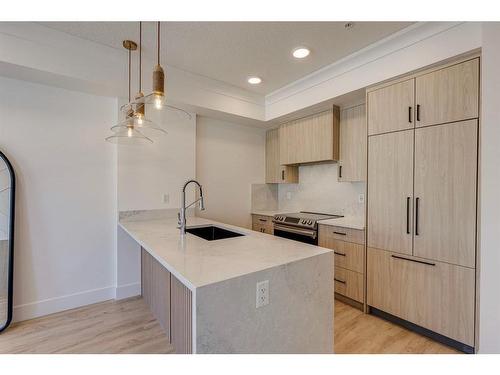 214-370 Dieppe Drive Sw, Calgary, AB - Indoor Photo Showing Kitchen