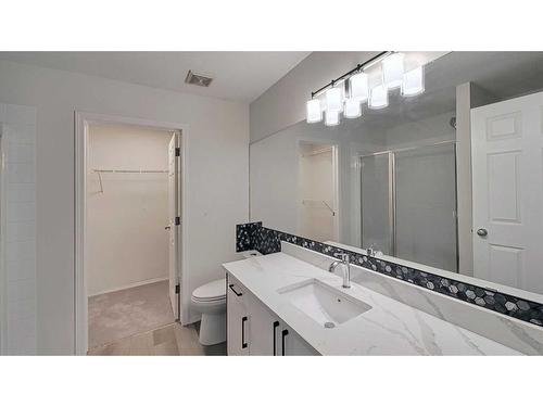 246 Saddlefield Place Ne, Calgary, AB - Indoor Photo Showing Bathroom