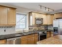 425 15 Street Nw, Calgary, AB  - Indoor Photo Showing Kitchen With Stainless Steel Kitchen With Double Sink 